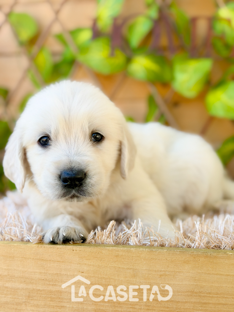 Fotografía tomada el 24/03/2026 Fotografía tomada el 24/03/2026