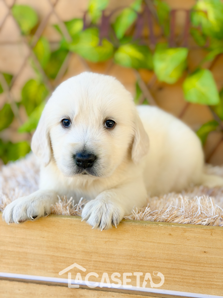 Fotografía tomada el 24/03/2026 Fotografía tomada el 24/03/2026