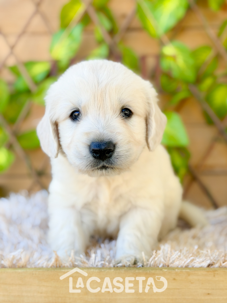 Fotografía tomada el 24/03/2026Fotografía tomada el 24/03/2026 Fotografía tomada el 24/03/2026Fotografía tomada el 24/03/2026