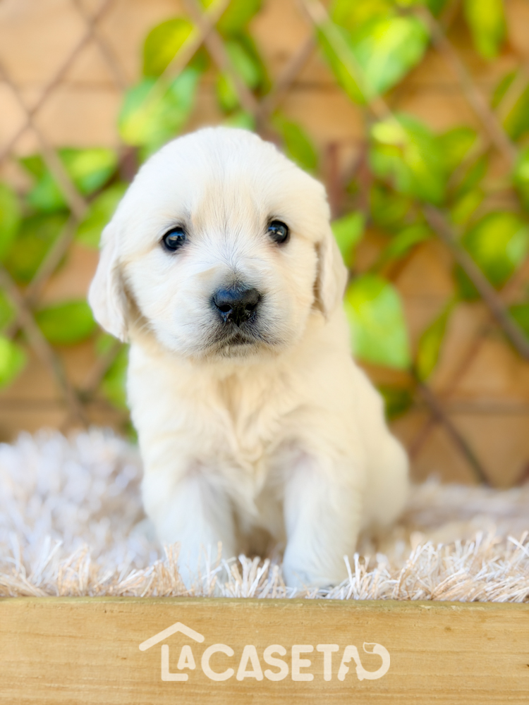 Fotografía tomada el 24/03/2026 Fotografía tomada el 24/03/2026