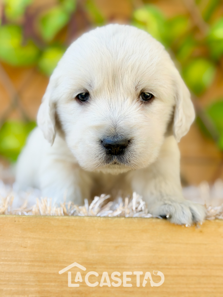 Fotografía tomada el 24/03/2026 Fotografía tomada el 24/03/2026