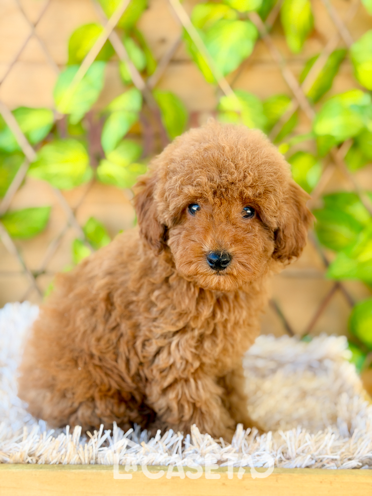 Fotografía tomada el 24/03/2026 Fotografía tomada el 24/03/2026