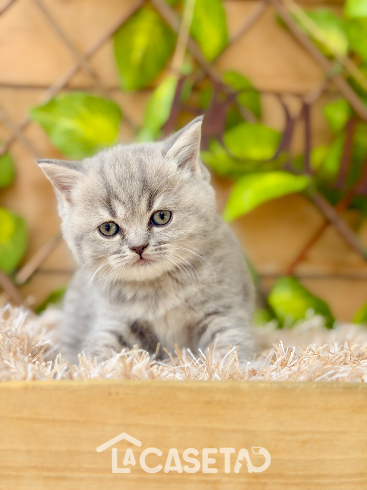 Fotografía tomada el 08/03/2026 Fotografía tomada el 08/03/2026