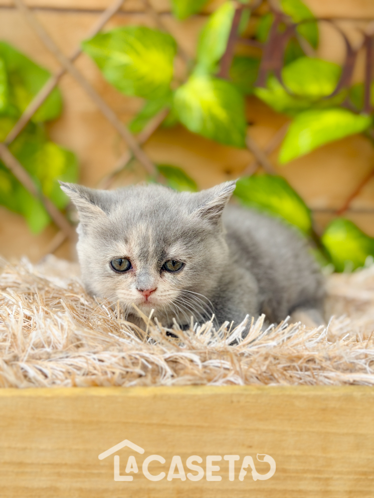 Fotografía tomada el 08/03/2026 Fotografía tomada el 08/03/2026