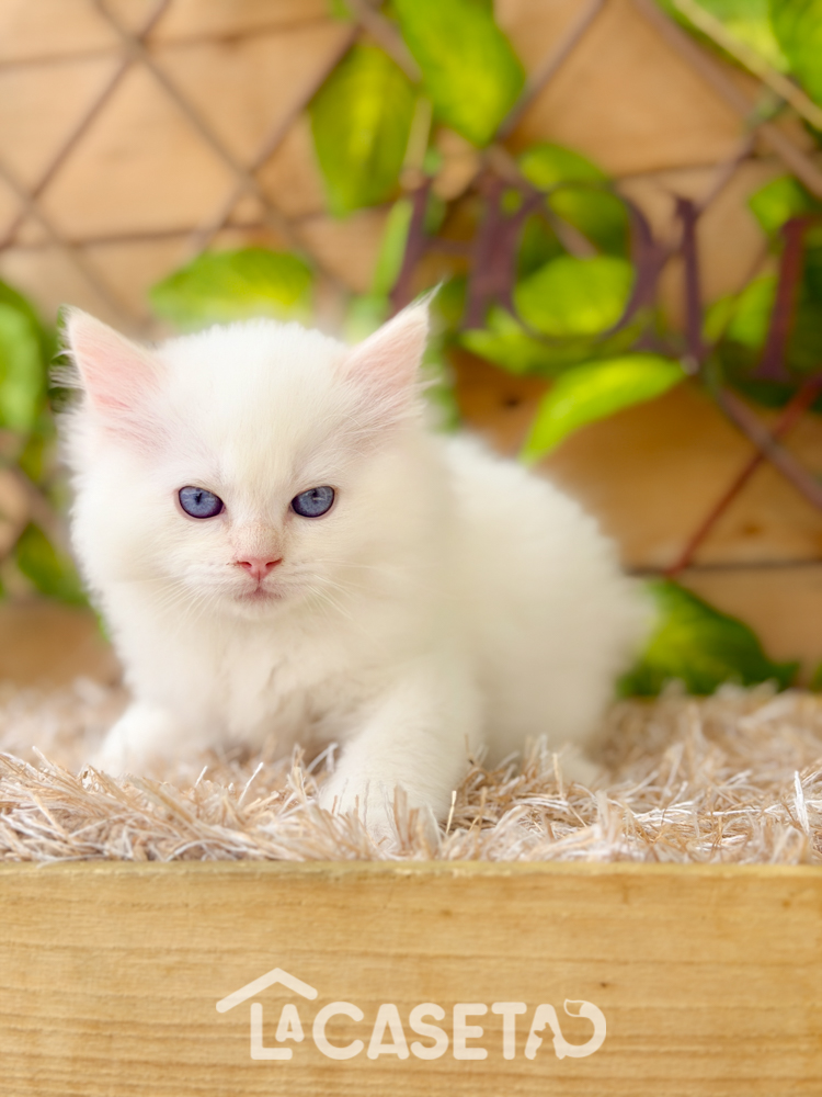 Fotografía tomada el 08/03/2026 Fotografía tomada el 08/03/2026