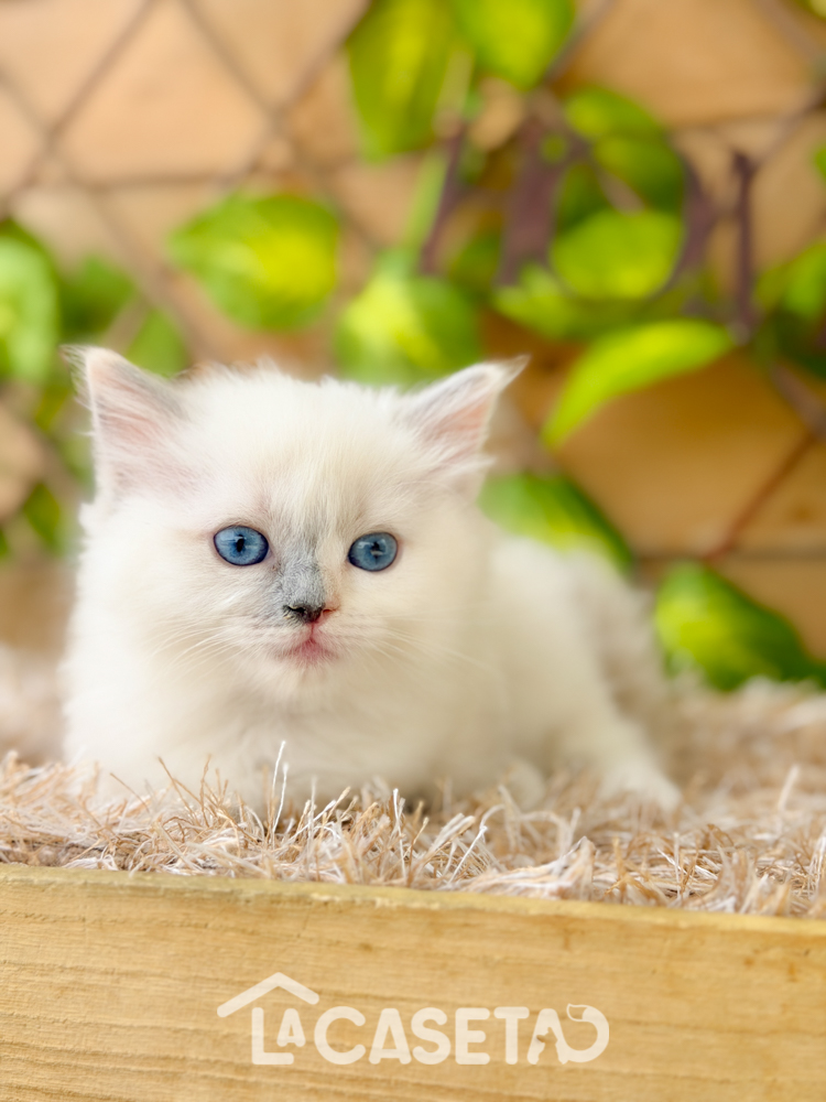 Fotografía tomada el 08/03/2026 Fotografía tomada el 08/03/2026