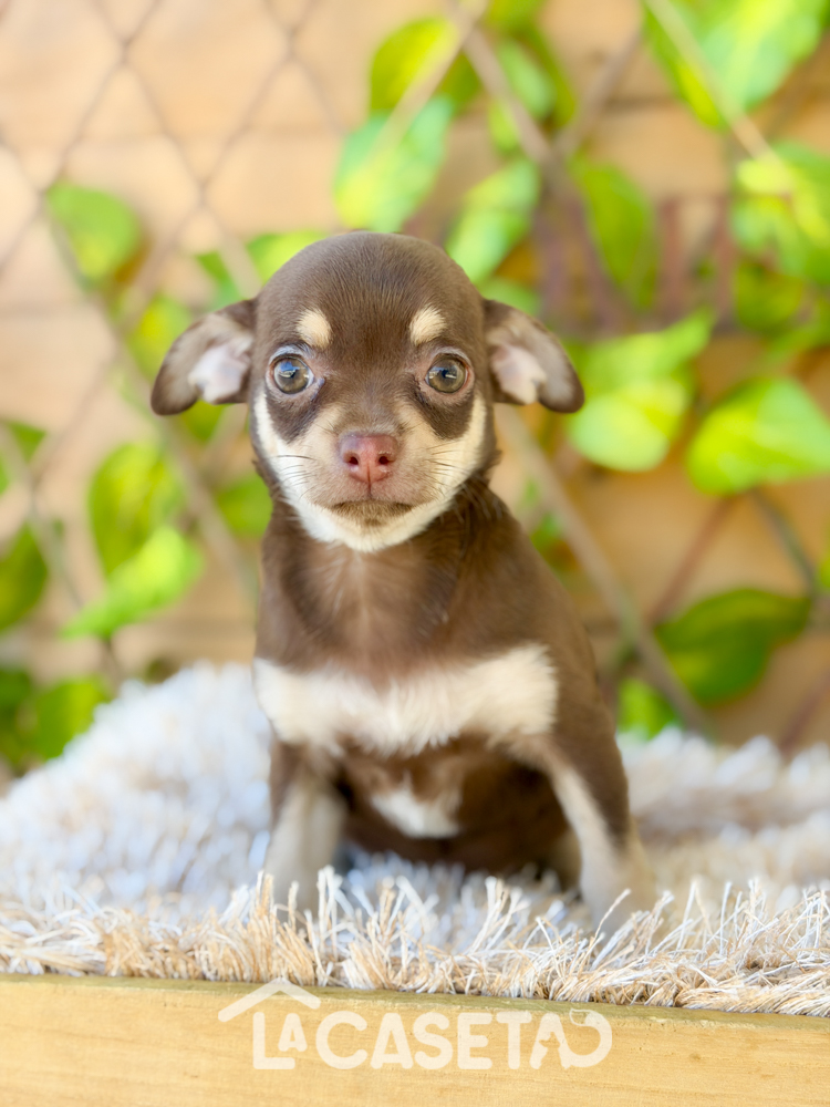 Fotografía tomada el 24/03/2026 Fotografía tomada el 24/03/2026