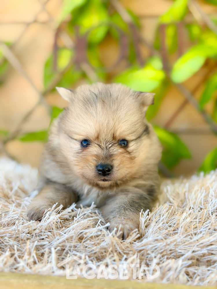 Fotografía tomada el 31/03/2026 Fotografía tomada el 31/03/2026