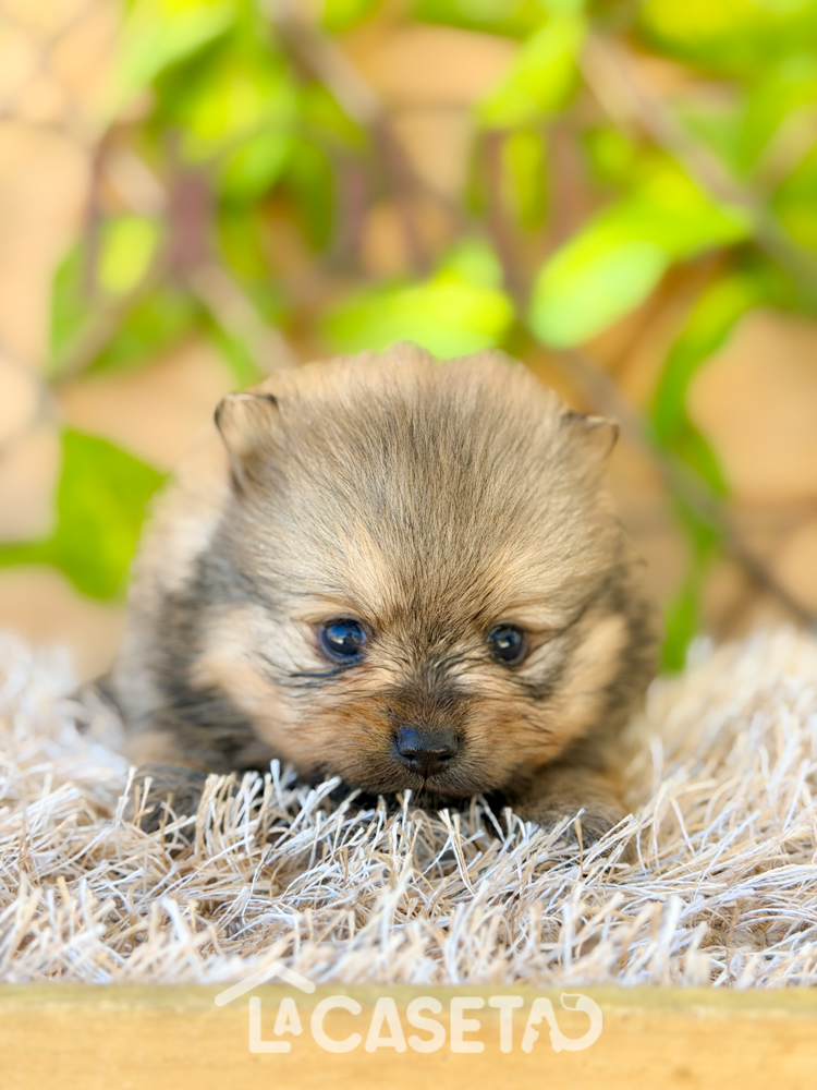 Fotografía tomada el 31/03/2026 Fotografía tomada el 31/03/2026