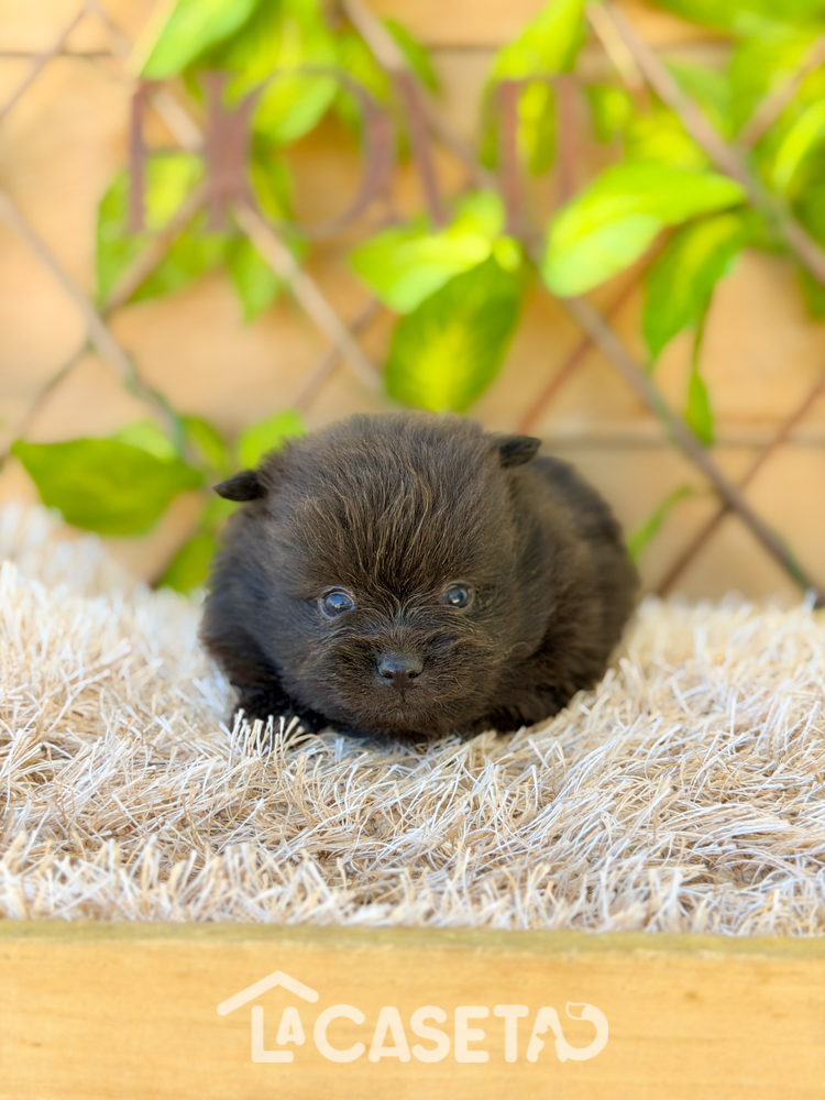 Fotografía tomada el 31/03/2026 Fotografía tomada el 31/03/2026