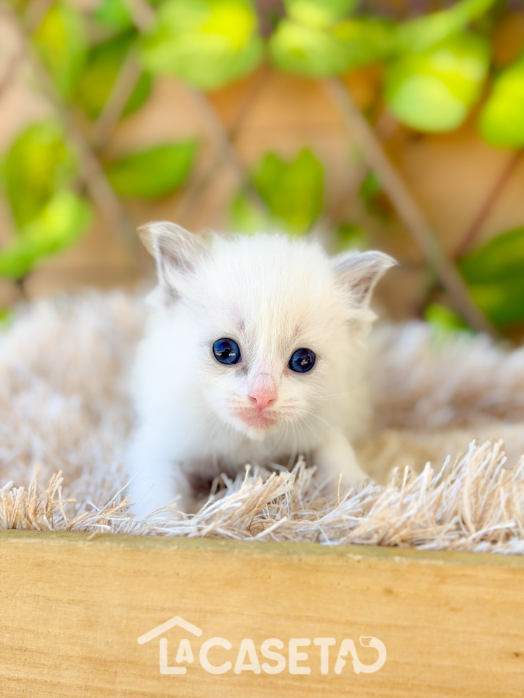 Fotografía tomada el 24/03/2026 Fotografía tomada el 24/03/2026