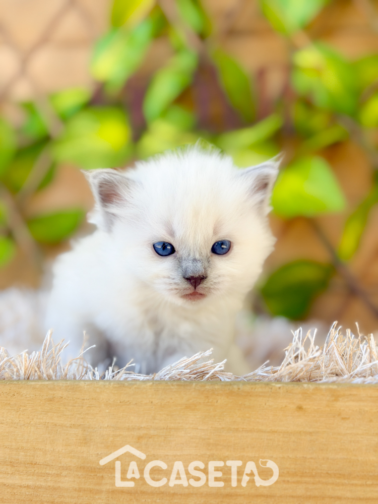 Fotografía tomada el 24/03/2026 Fotografía tomada el 24/03/2026