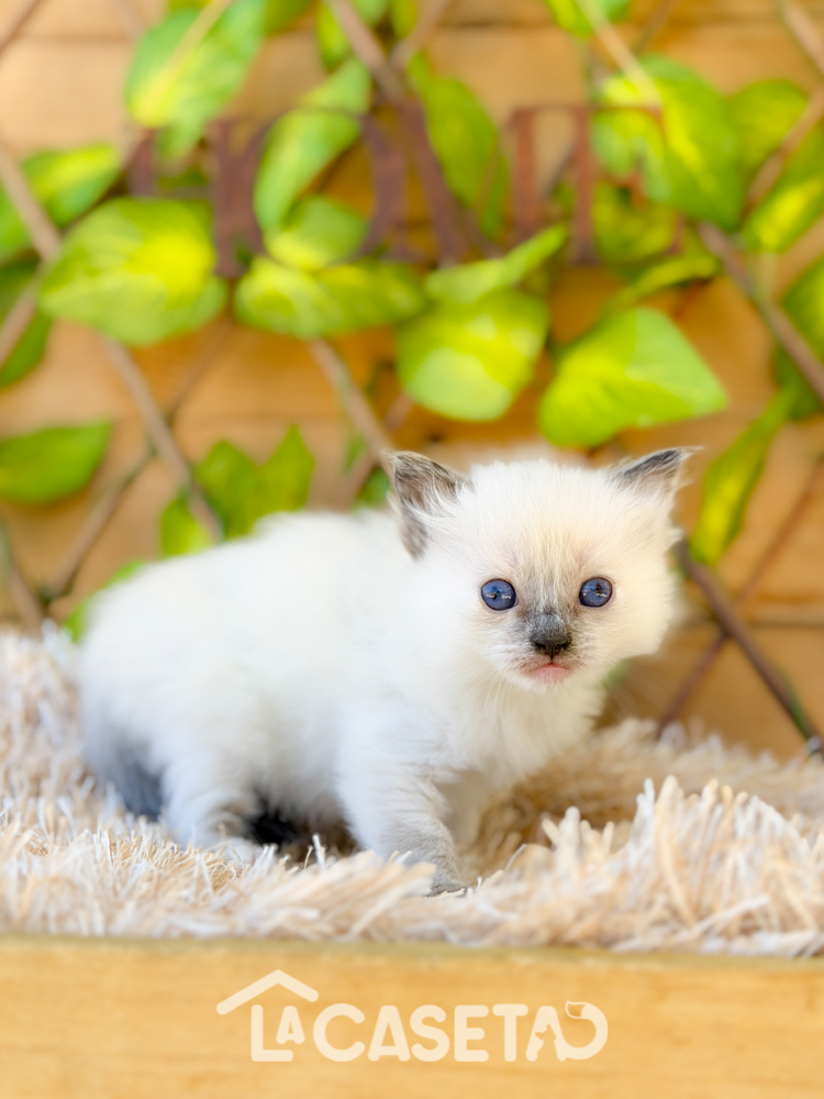 Fotografía tomada el 24/03/2026 Fotografía tomada el 24/03/2026