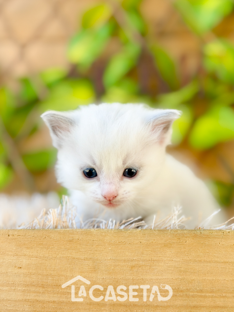 Fotografía tomada el 24/03/2026 Fotografía tomada el 24/03/2026