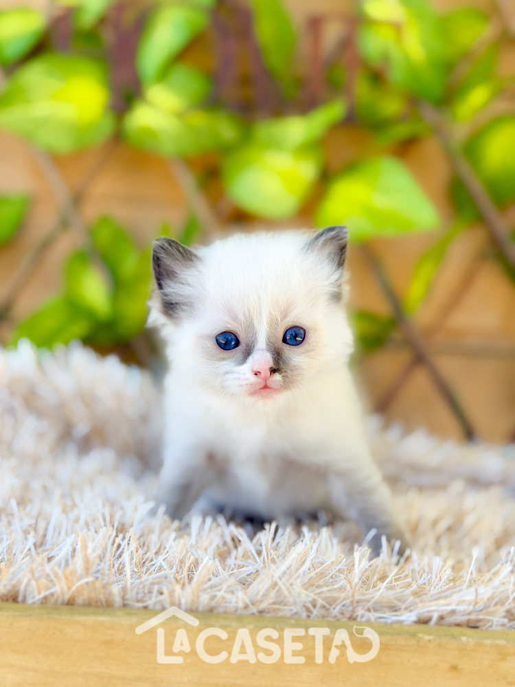 Fotografía tomada el 24/03/2026 Fotografía tomada el 24/03/2026